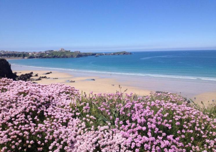 Atlantic Reach Cottages, Newquay 6 Miles, 2 Bedrooms Exterior foto